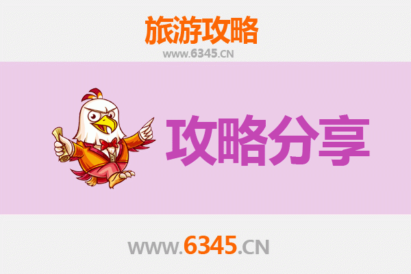 商丘夏邑旅游攻略：跟团与自由行全方位对比
